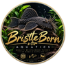 BristleBorn Aquatics fish logo